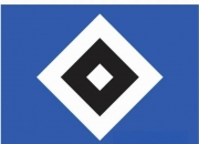 爱游戏官网-汉堡对阵云达不莱梅，谁能笑到最后的简单介绍