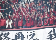 爱游戏网页版登录入口-关于关键战役结束，球迷欢呼雀跃，狂热庆祝的信息