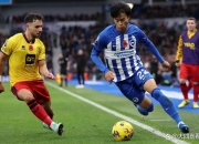 爱游戏app-布莱顿主场告捷，英超保级再添信心的简单介绍