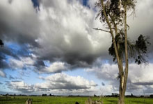 爱游戏体育官网-鹿岛鹿角战术多变，力争战胜强敌