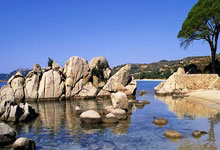 爱游戏在线-捷克女足将迎战奥地利队在欧锦赛中，捷克女足对波兰女足