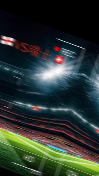 关于斯洛伐克国家队艰难取胜，迈向晋级之路的信息