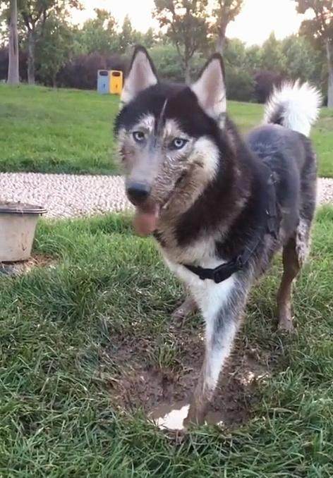 柏林赫塔主场失分,沉迷降级泥潭难自拔的简单介绍 柏林赫塔主场失分,沉迷降级泥潭难自拔的简单介绍