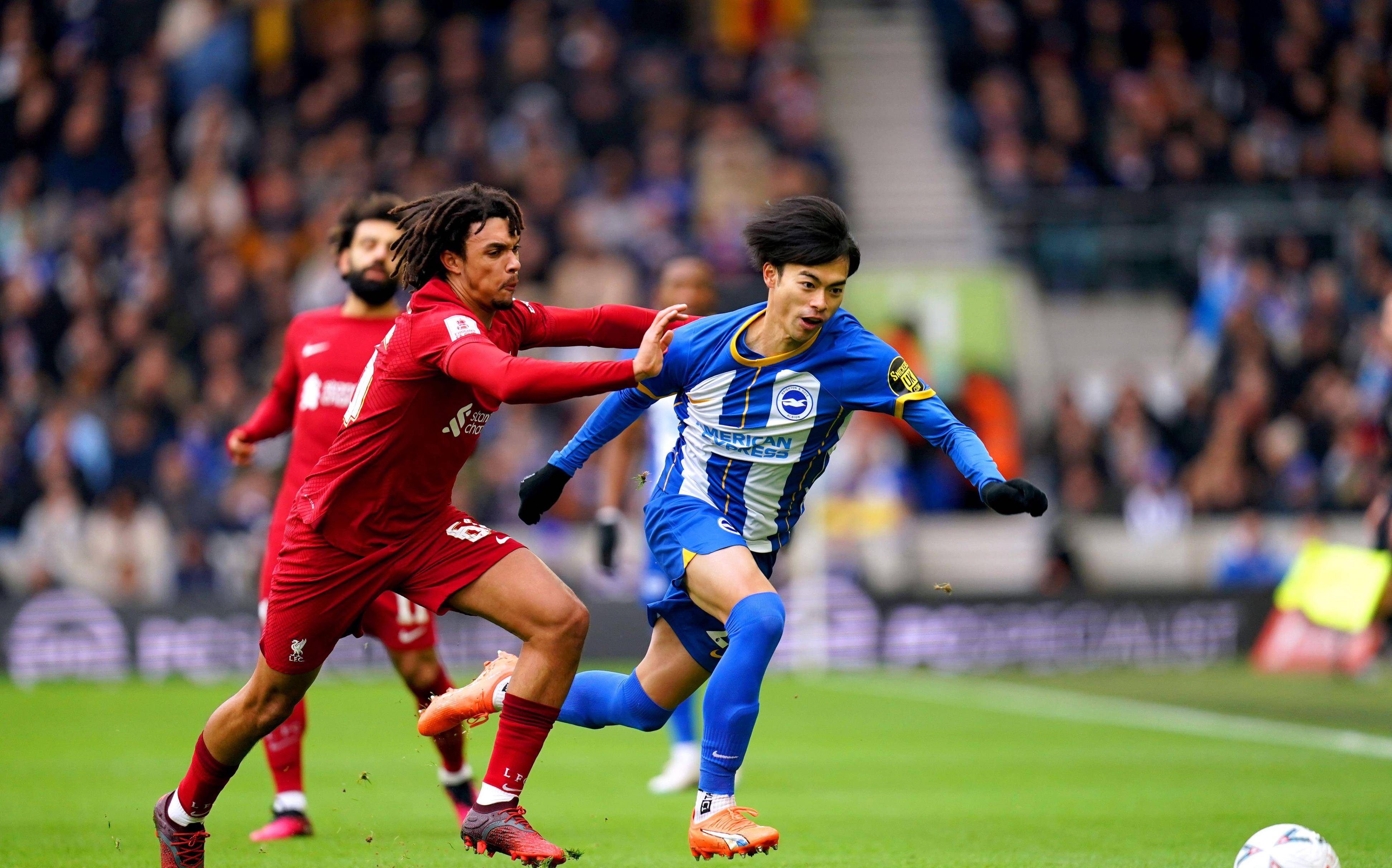 阿尔艾因进攻端火力强劲,欲破利物浦防线的简单介绍 阿尔艾因进攻端火力强劲,欲破利物浦防线的简单介绍