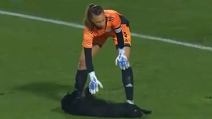 南美洲最强篮球队夺得冠军，壮志凌云